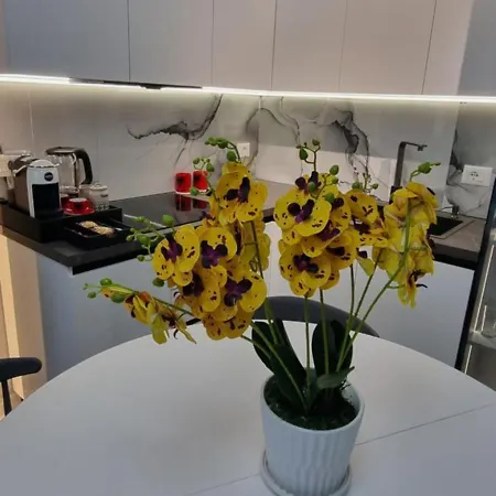 Apartman Center Dots Tirana